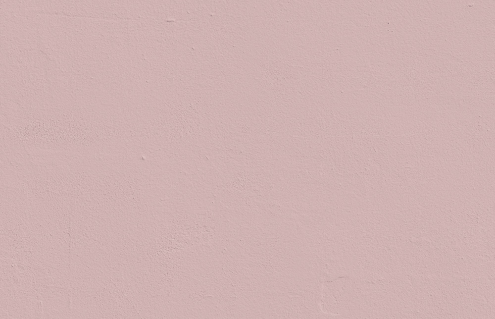 Pink 05: Dusty Blush Pink Paint - Matt Interior Paint