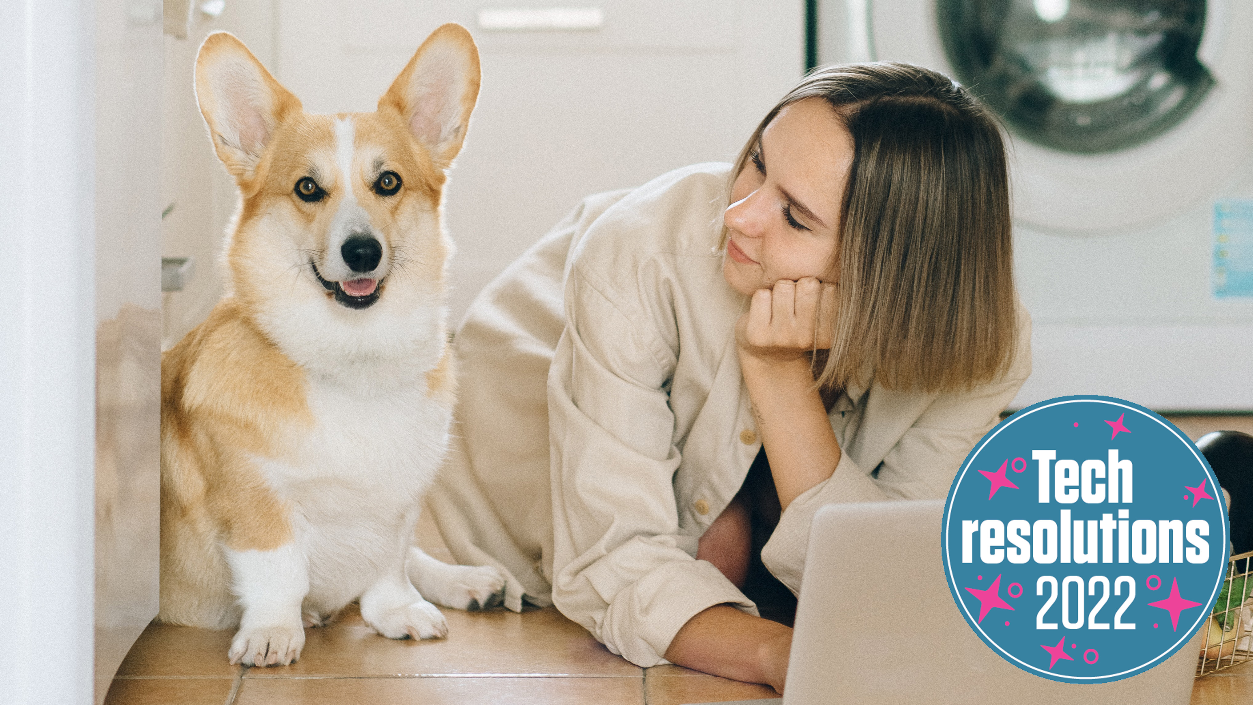 a woman on a laptop looking at a corgi dog