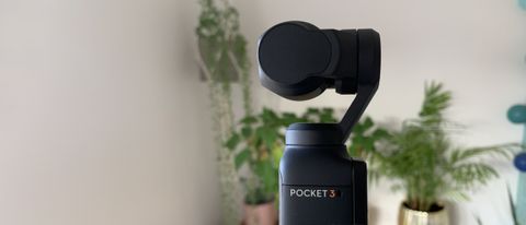 DJI Pocket 3 camera in a front room with indoor plants in the background