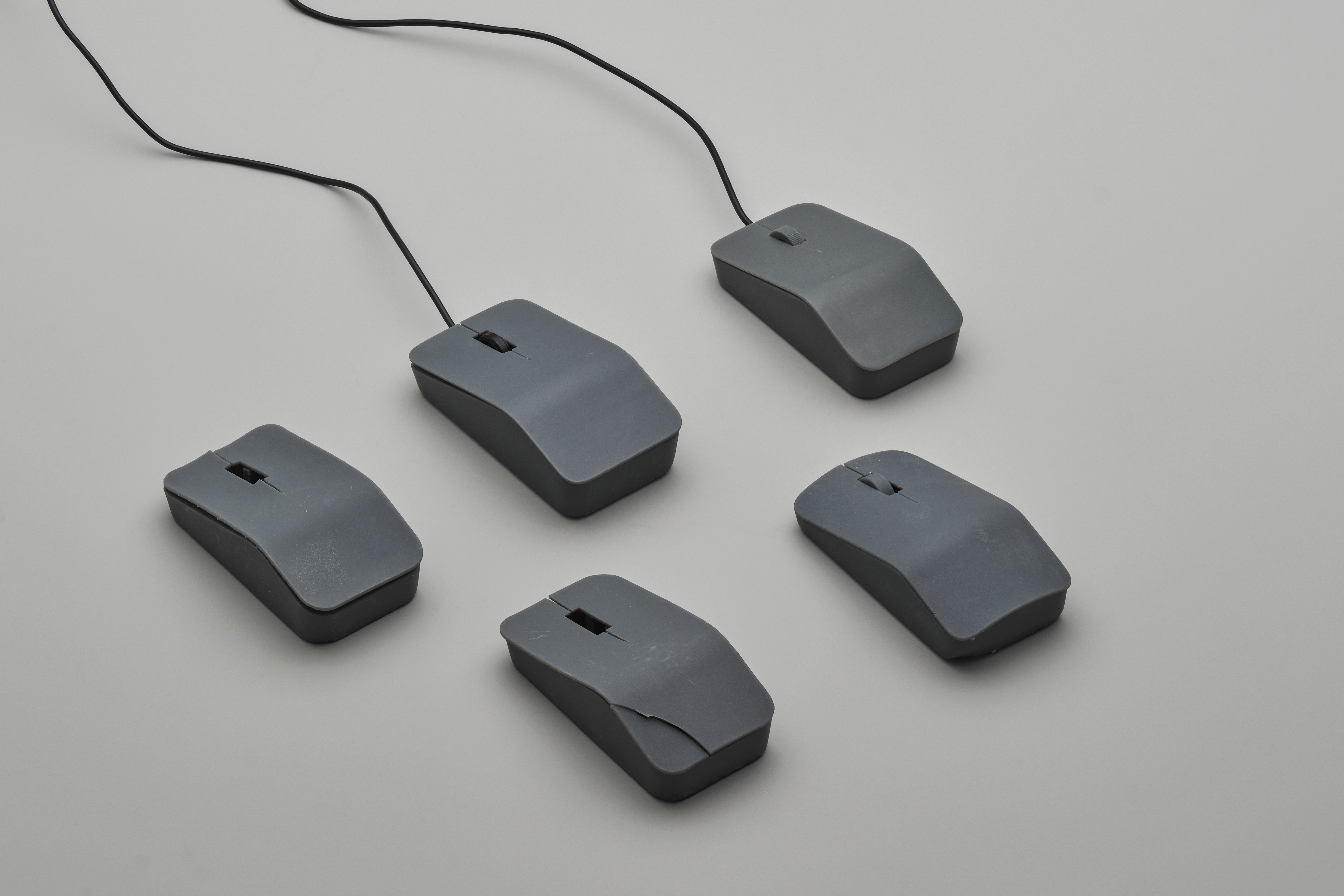 Mouse evolution for the c100