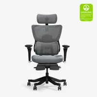 FlexiSpot C7 Max Ergonomic Office Chair