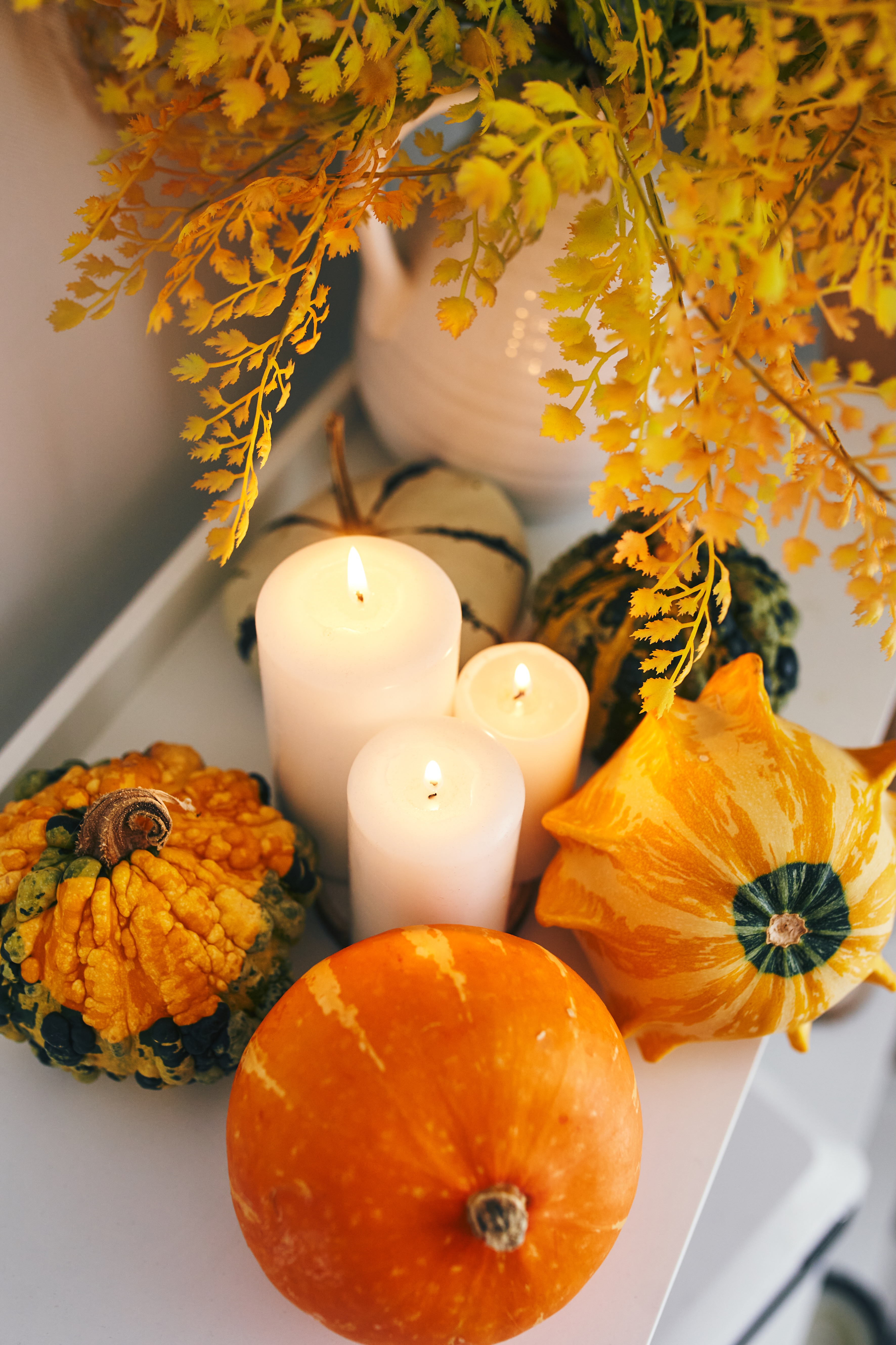 Small pumpkins, flowers in a white vase and candles