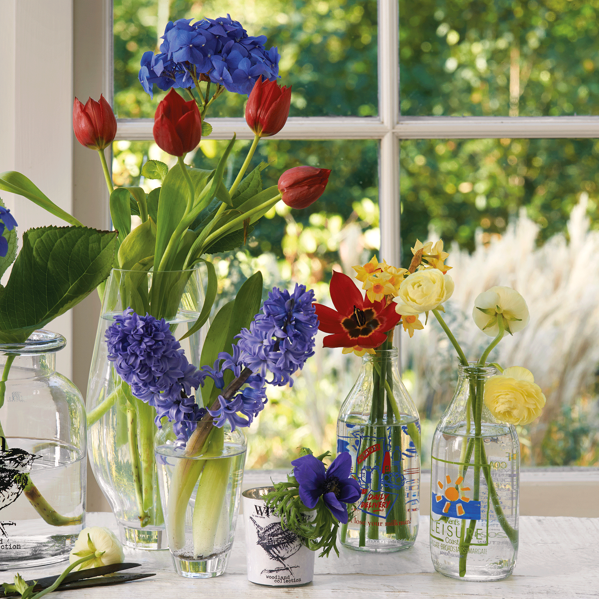 Hyacinths in vase