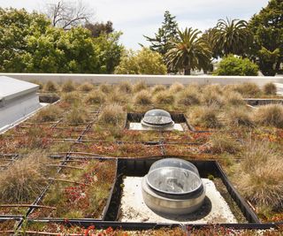 Irrigation on a rooftop garden