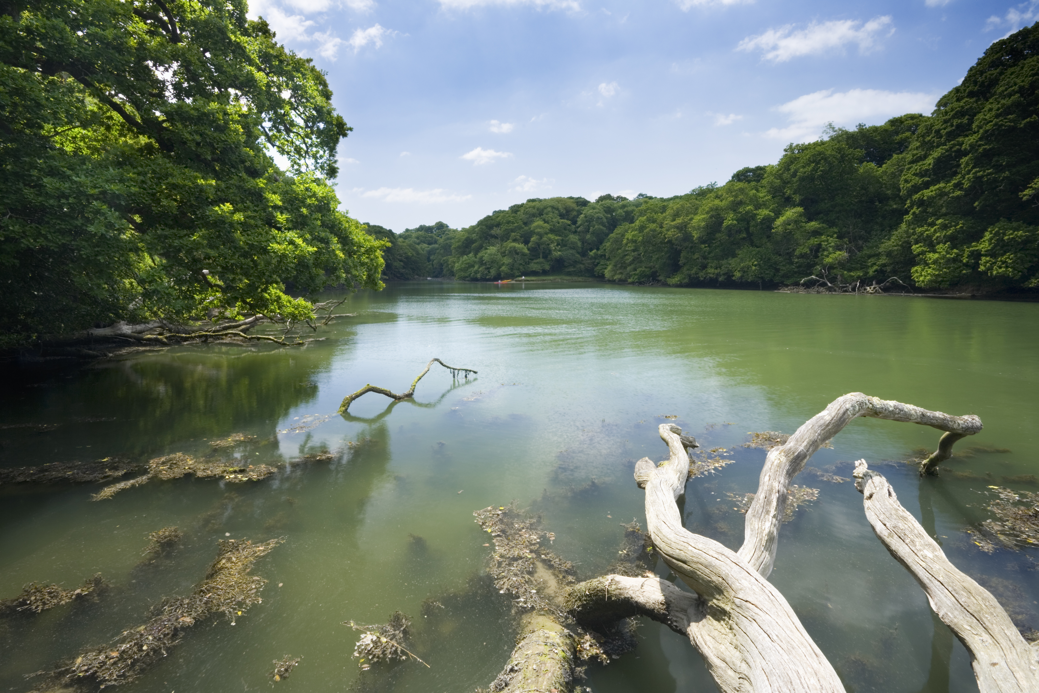 Frenchman's Creek, Helford River, Cornwall.