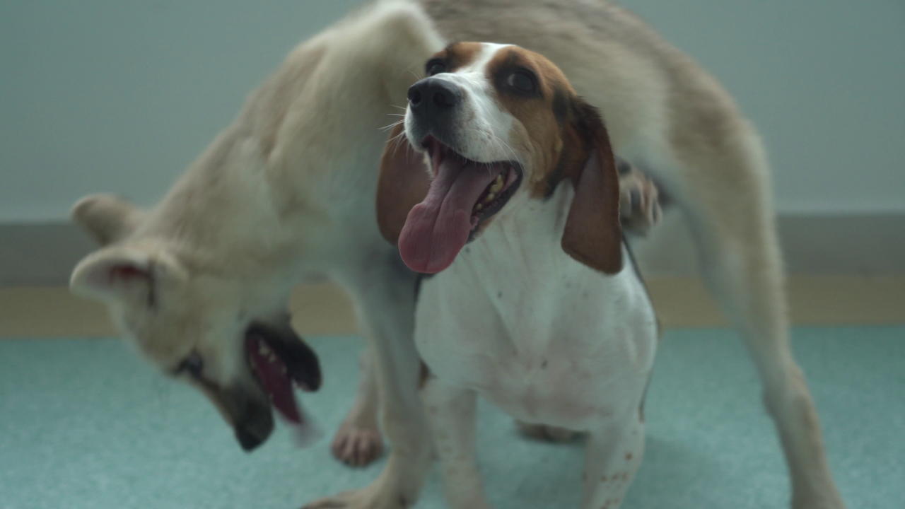 Maya plays with her surrogate mother.