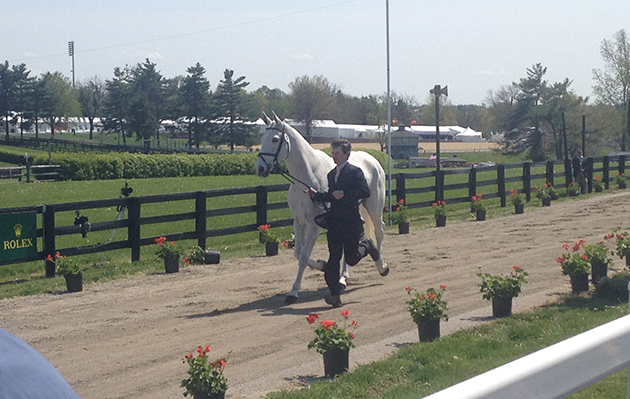 Francis Whittington and Easy Target at the first trot-up at Rolex Kentucky 2015