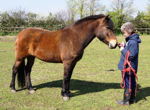 Jojo has now made a full recovery