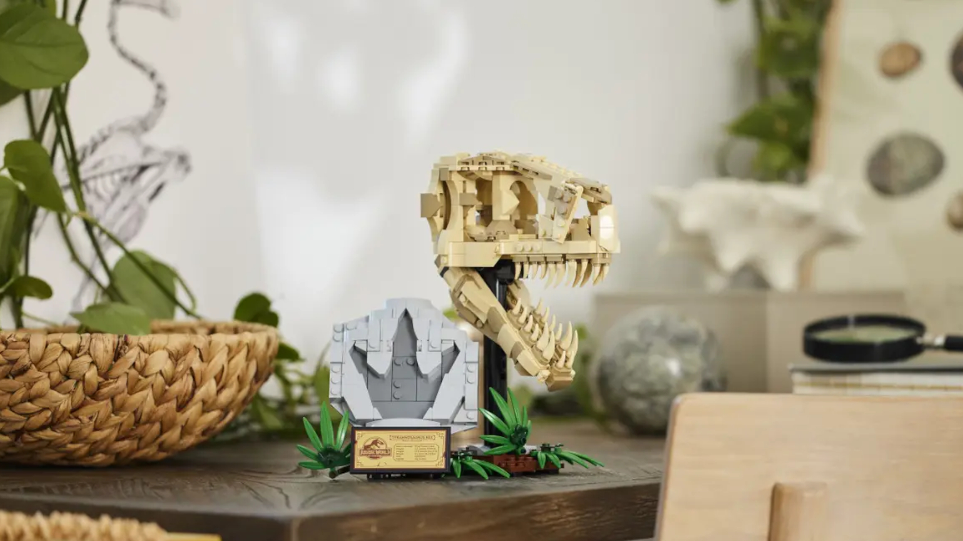 Lego T.rex Skull set on a desk, with plaque