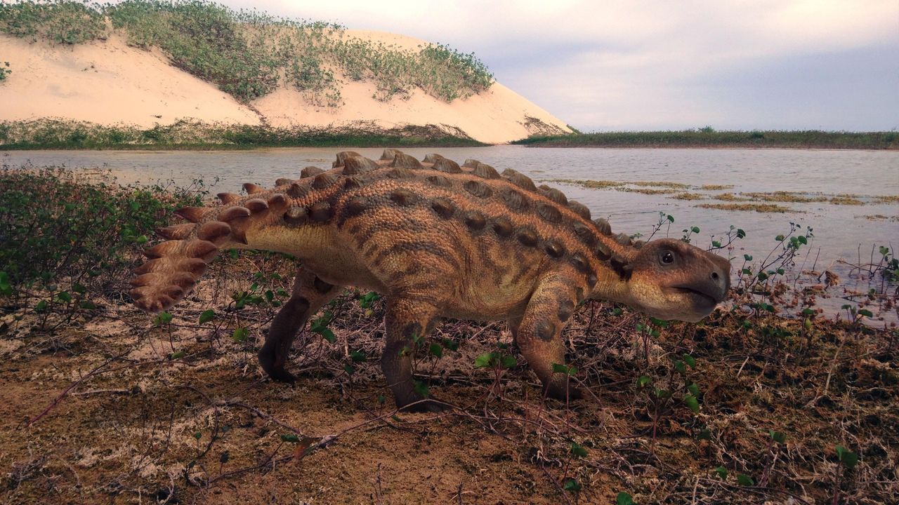 A 3D sculpture of the newly described armored dinosaur species Stegouros elengassen.