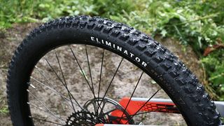 Specialized Eliminator T7 Grid Trail tire at the trailside