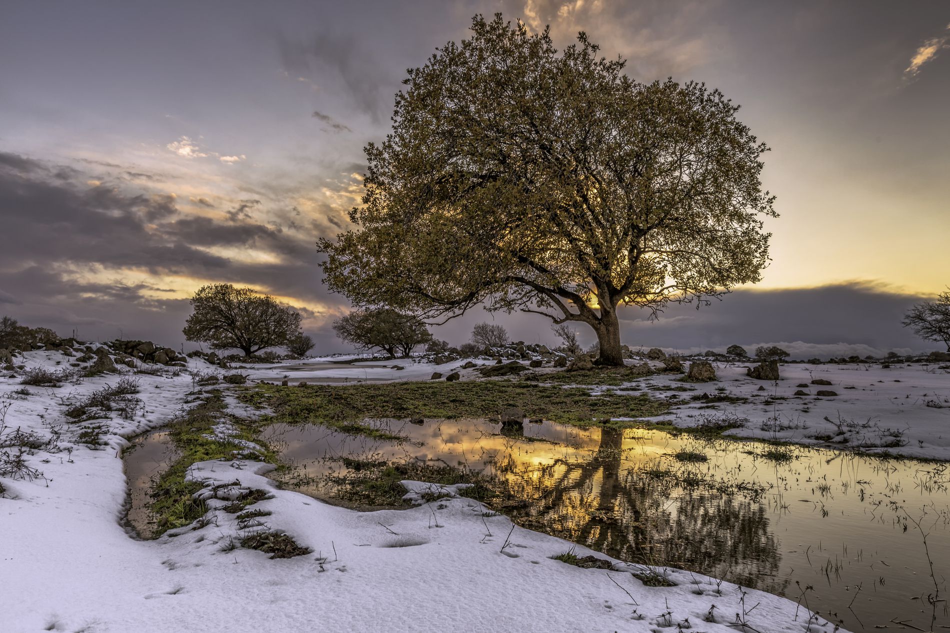 GuruShots - Nature March 2026