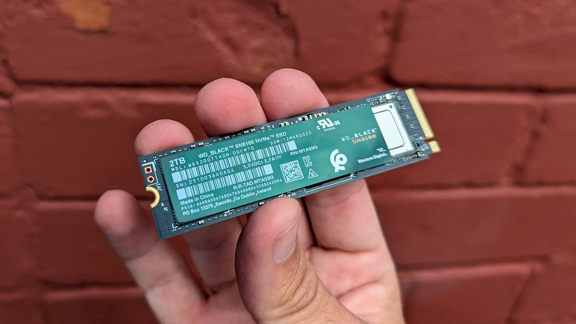 WD_BLACK SN8100 PCIe 5.0 NVMe SSD held against a red brick background