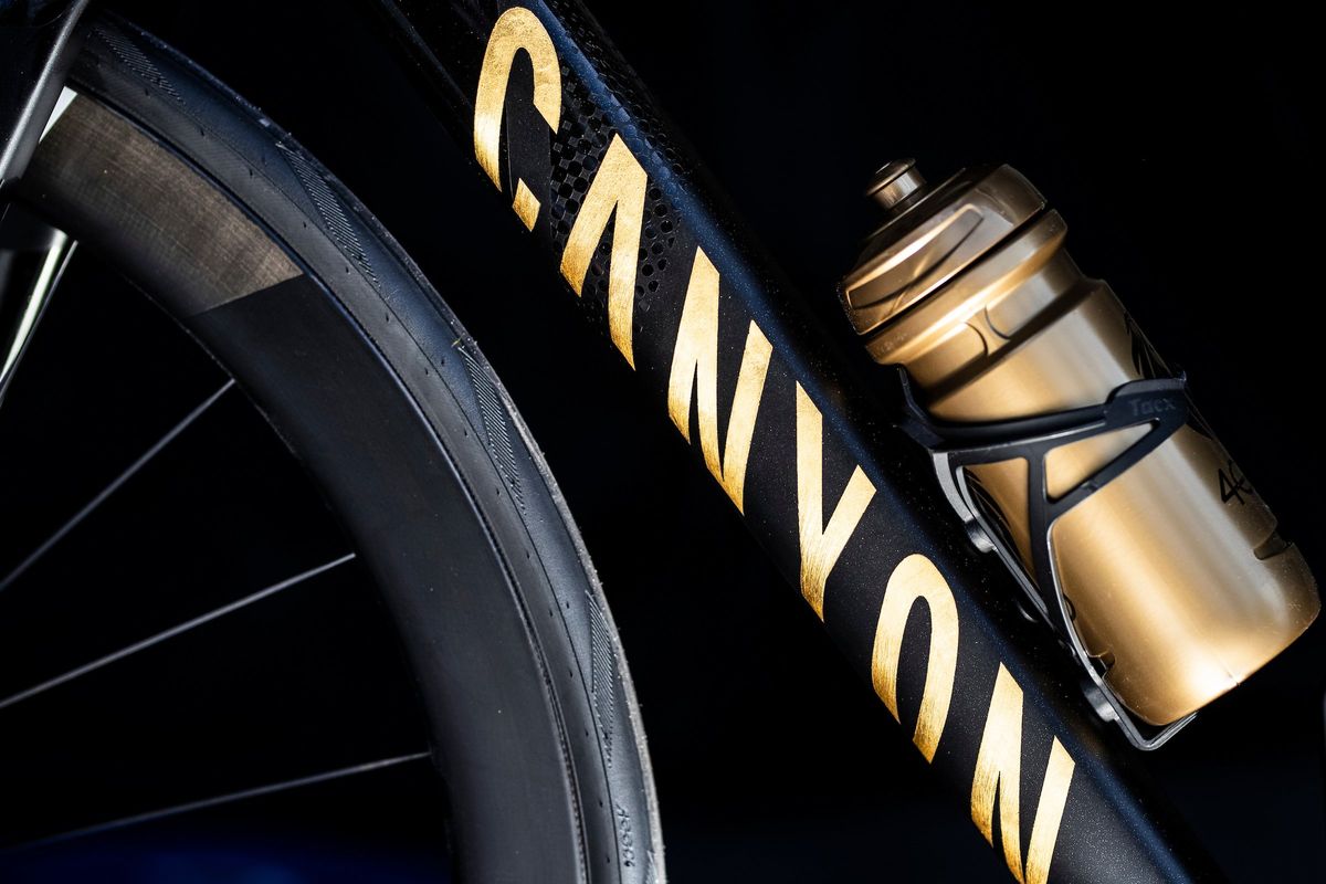 24 karat gold Canyon signed by Mathieu van der Poel