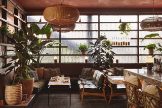 A modern rustic restaurant features rattan decor mixed with mid-century modern wood and leather furniture and plenty of plants in a sun-lit space.