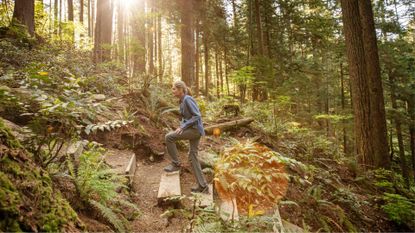 a forest scene with a woman climbing steps in the middle sideways to the camera. there's sunlight coming through the trees behind her. 