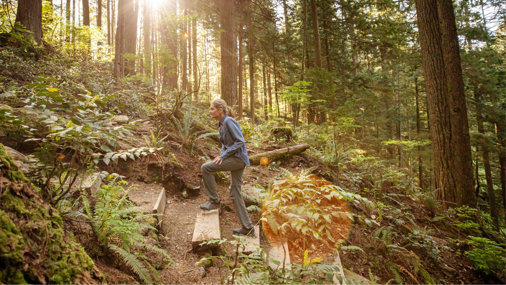 a forest scene with a woman climbing steps in the middle sideways to the camera. there's sunlight coming through the trees behind her. 