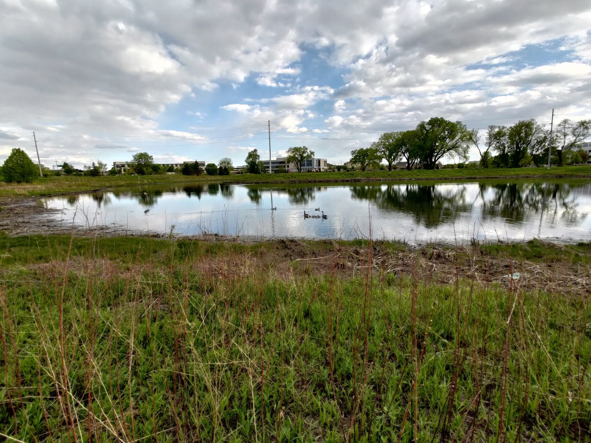 Asus Zenfone 8 camera samples