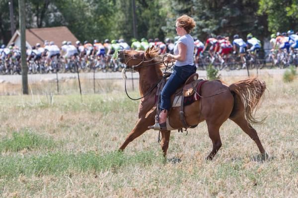 A horse and rider enjoy the passing peloton.
