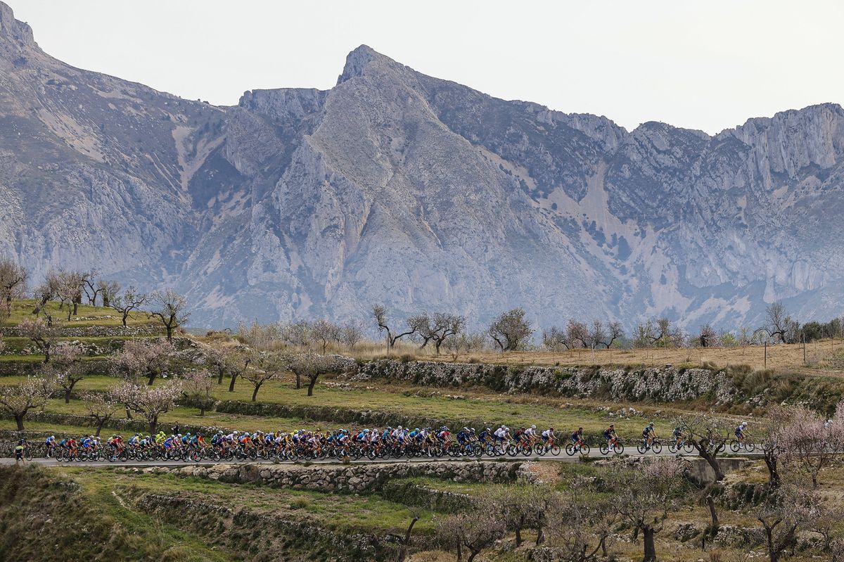 Volta a la Comunitat Valenciana 2022 - 72nd Edition - 3rd stage Alicante - Antenas del Maigmo&acirc; 155,1 km - 04/02/2022 - Scenery - photo Luis Angel Gomez/SprintCyclingAgency&Acirc;&copy;2022