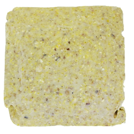 Suet Plus Extra Value Woodpecker Blend Suet 10 Pack | Pack of 10 Suet Cakes for Wild Birds