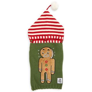 A green Christmas dog sweater with a gingerbread man design on it and a red and white stripe dog beanie over the sweater, for Christmas sweaters for dogs.