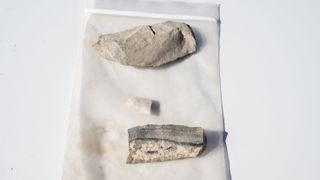 Fragments of stone tools found at the Paleo-Archaic site.