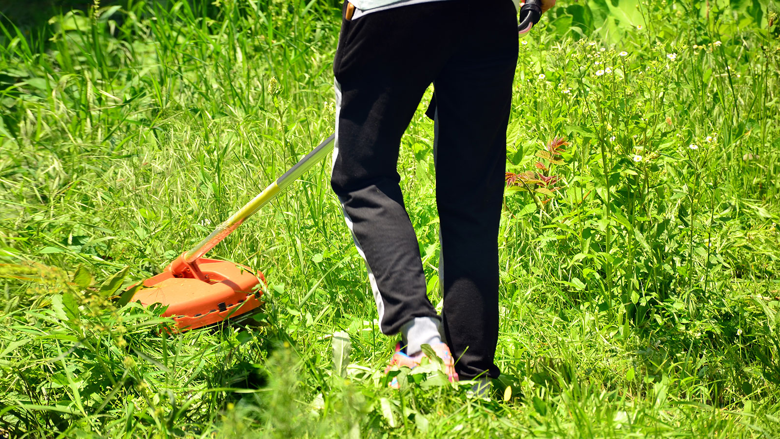 man using cordless strimmer in overgrown grass