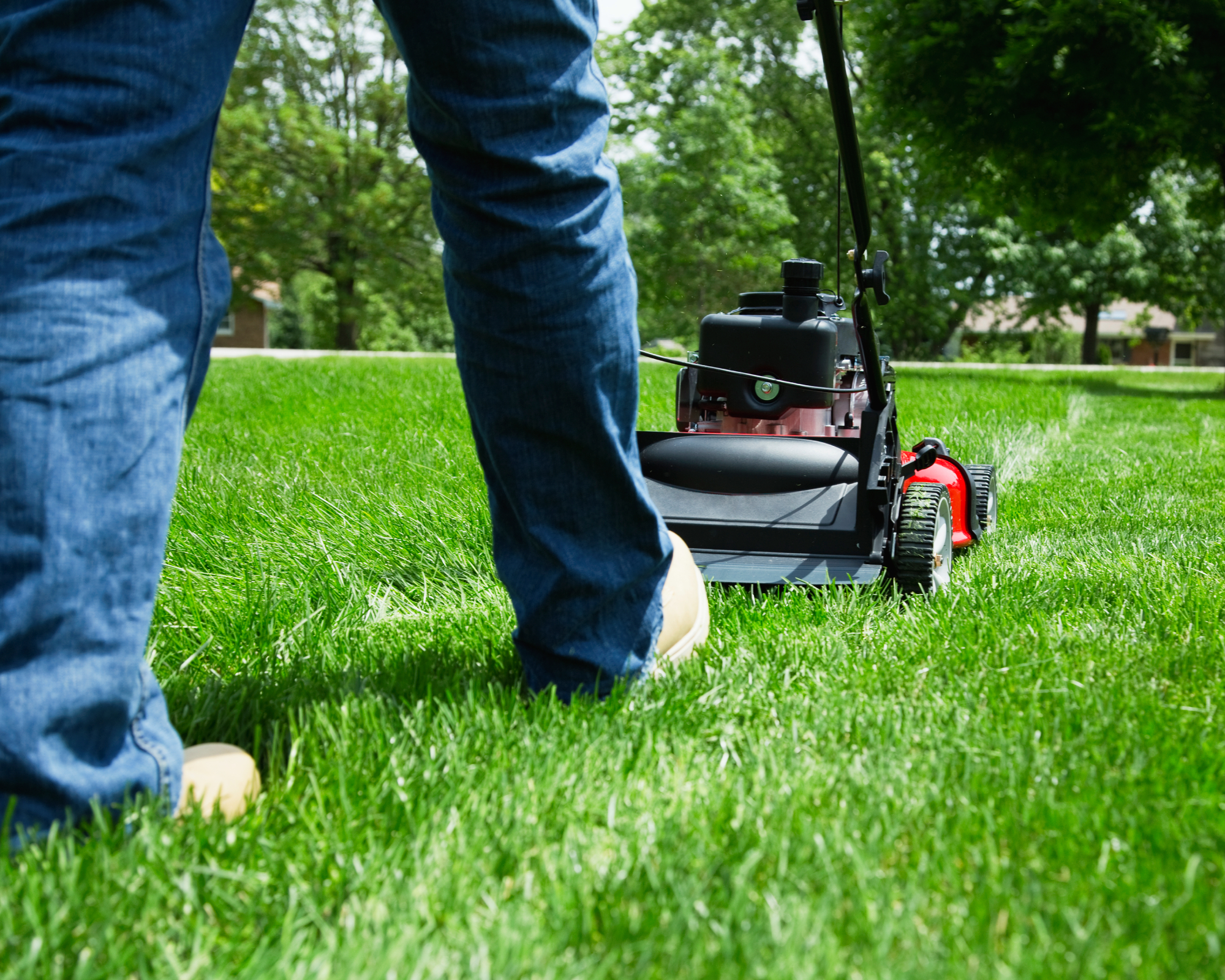 person mowing the grass on a front lawn