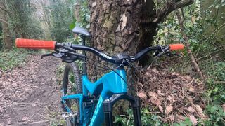A mountain bike leaning on a tree