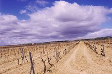 Bardenas desert, Foto viña invierno y Diego