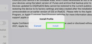 iPadOS 15 beta developer step 13 — tap Install