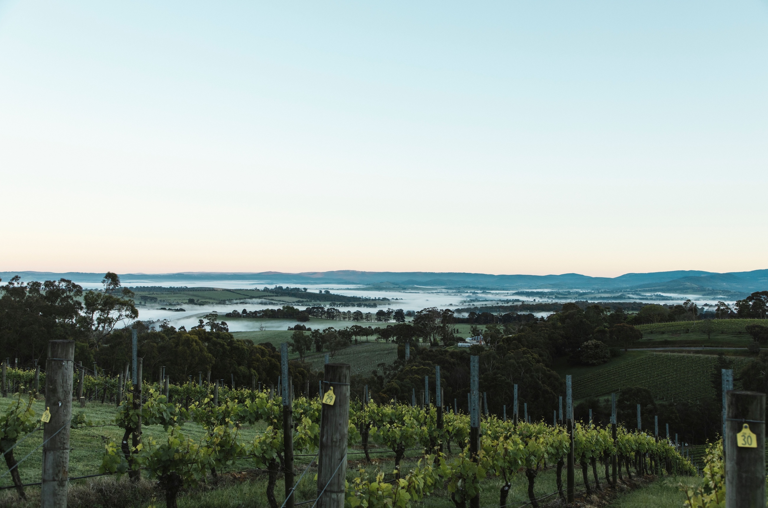 Yarra Valley landscape