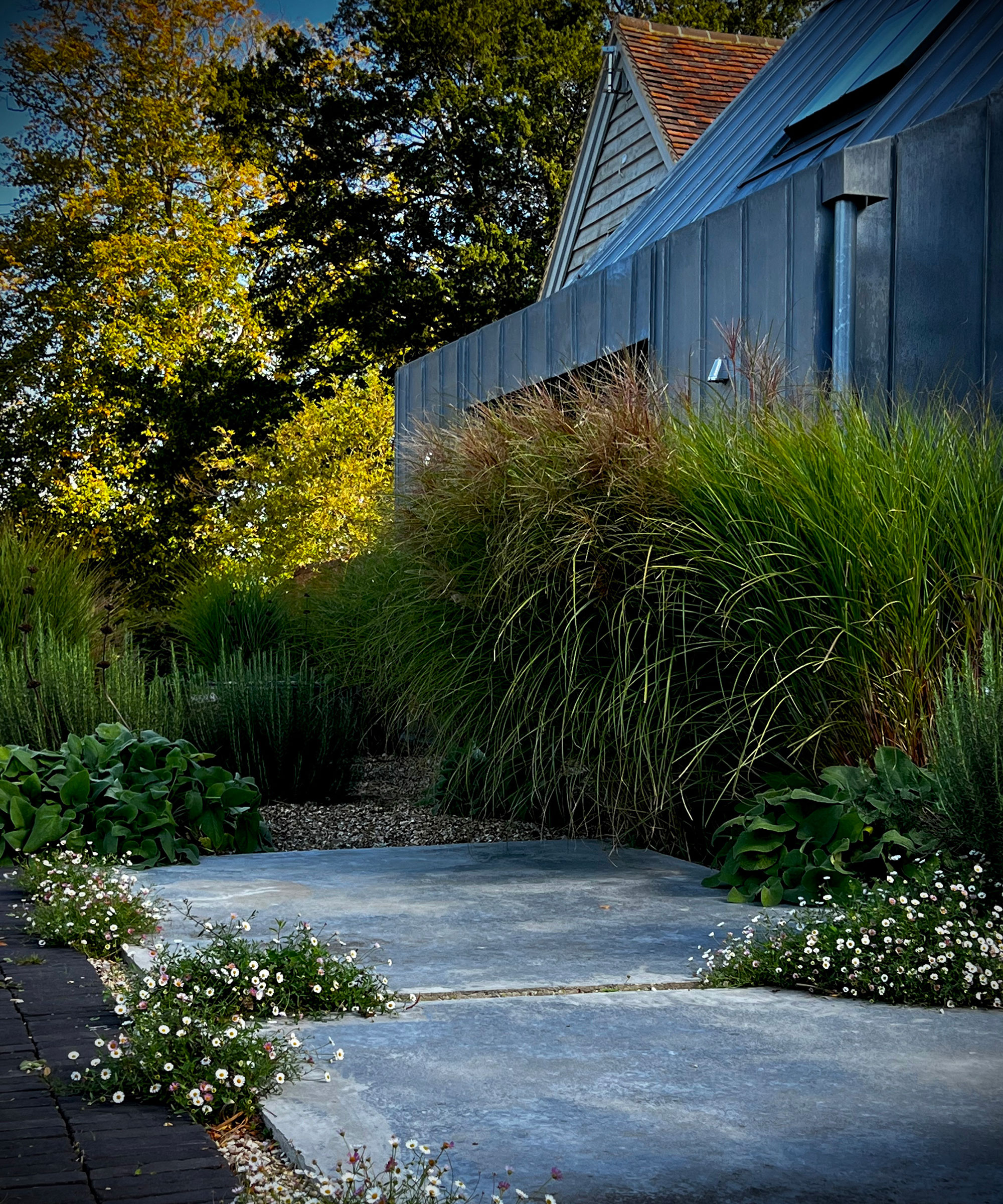 modern garden design with green planting including ornamental grasses and evergreen plants