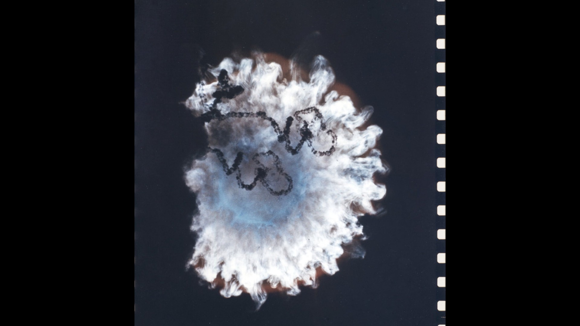 Fotograma d'una pel·lícula de 35 mm de la prova de l'estrella de mar Prime Nuclear.