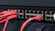 A network switch with dark pink cables attached