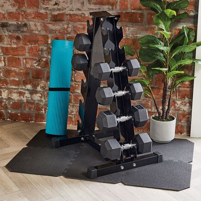 room with exposed brick walls dumbells and plant in pot