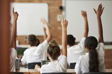 School pupils raise their hands in a lesson. 