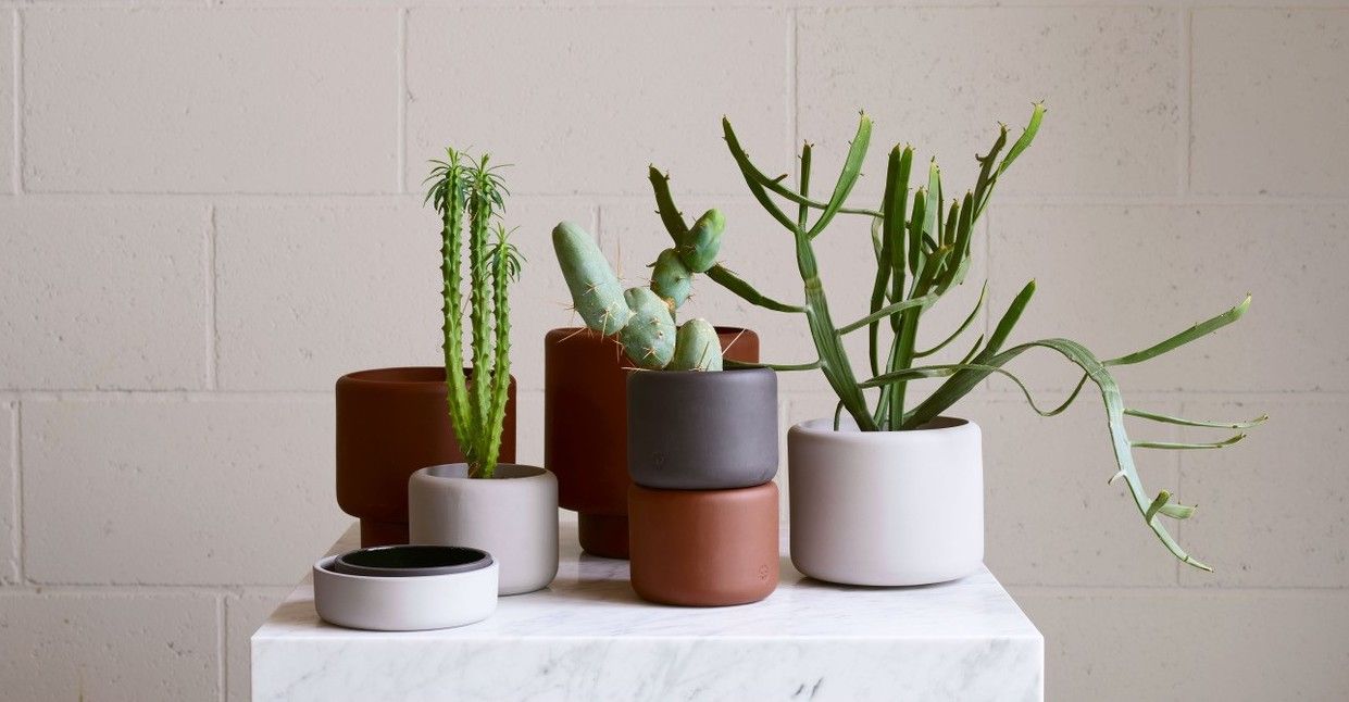 Botany plant pots by Aaron Probyn