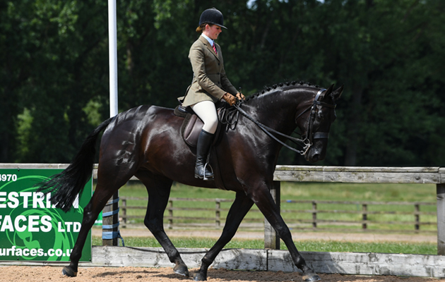 National Hunter Supreme Championship 03 07 2018