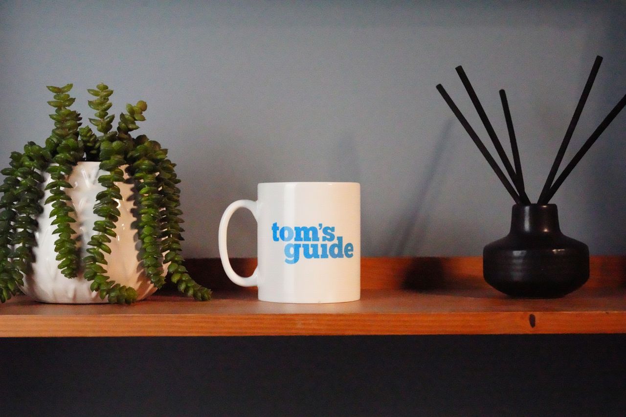 A photo of a Tom's Guide mug with a plant and scent diffuser on each side, demonstrating the ISO performance of the Sony A7CR