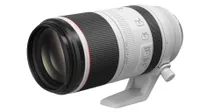 Best Canon RF lenses: Canon RF 100-500mm