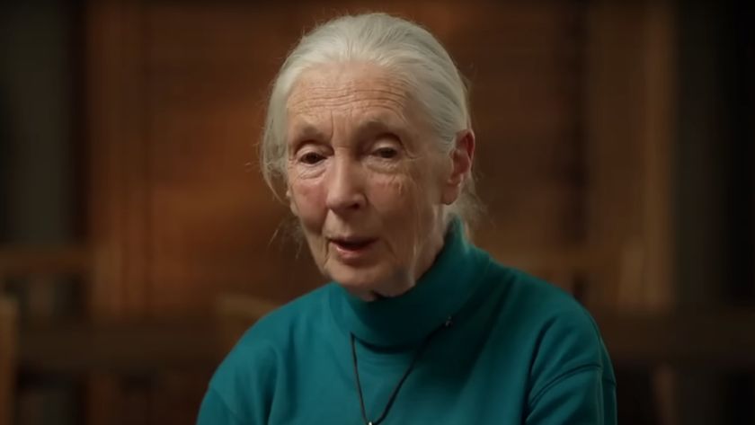 Jane Goodall on CBS Sunday Morning