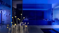 cobalt blue kitchen with stainless steel bench and unique chrome vase