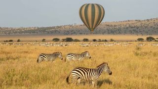 See the Serengeti’s iconic wildlife from a hot air balloon
