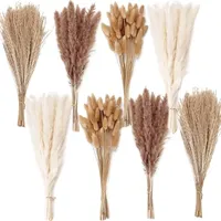 ANPROOR 200pcs Dried Grasses ANPROOR 200pcs Dried Grasses