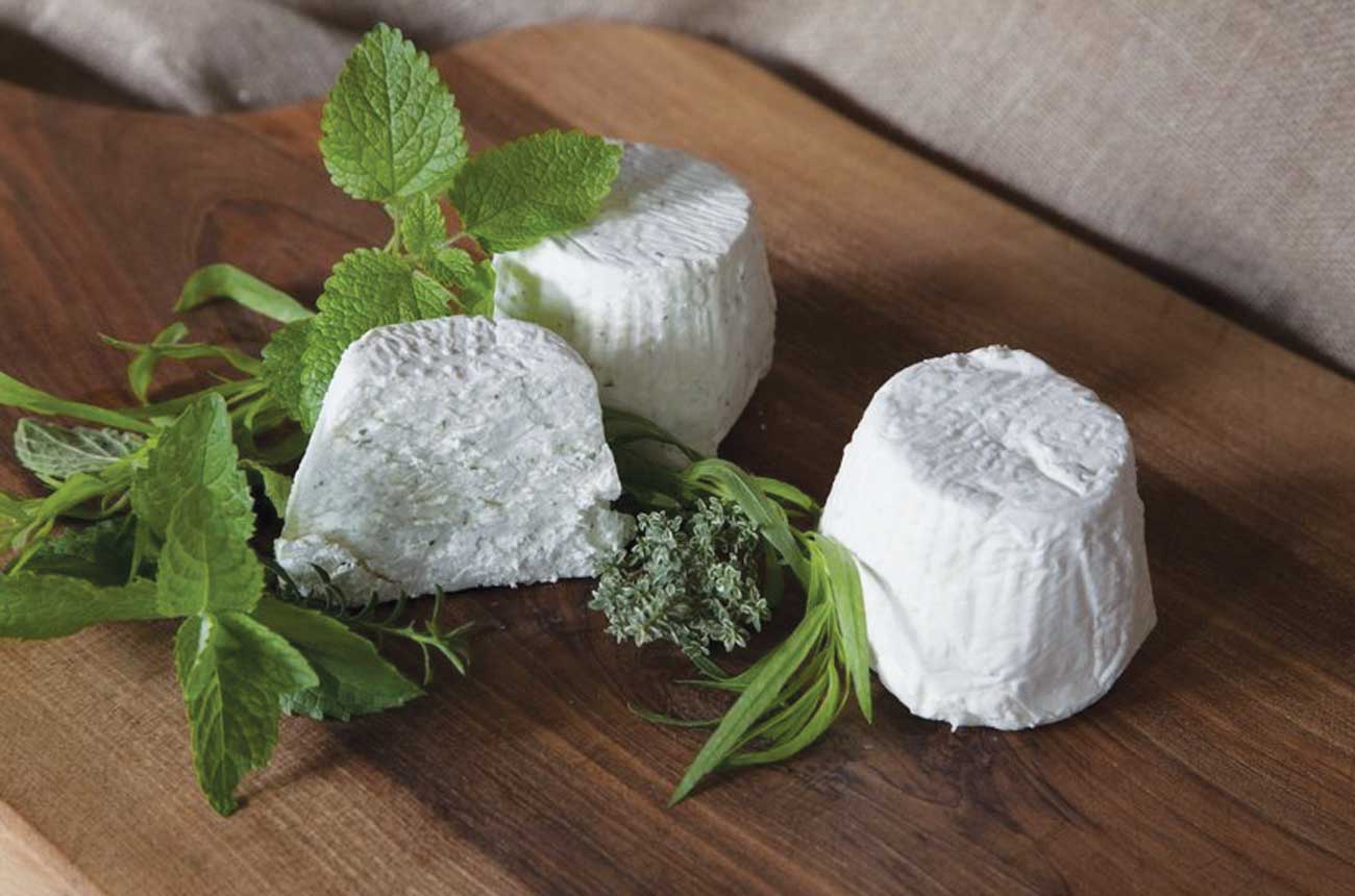 Goats Cheese