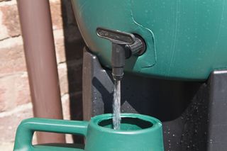 a water saving water butt