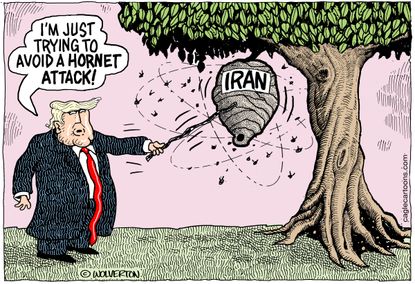 Political Cartoon U.S. Trump Poking Hornet Nest Soleimani Killing Iran