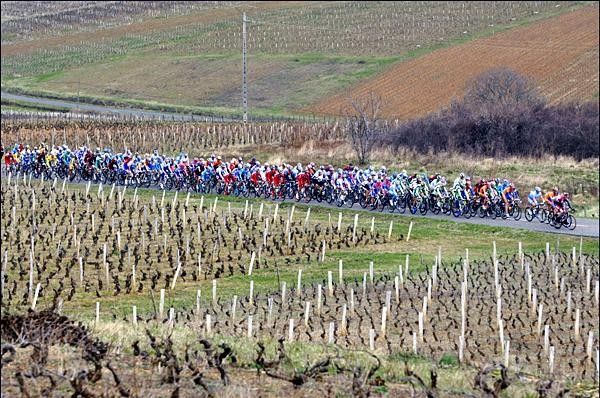 Nice scenery for the stage.